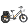 MG1703 Electric Fat Tricycle